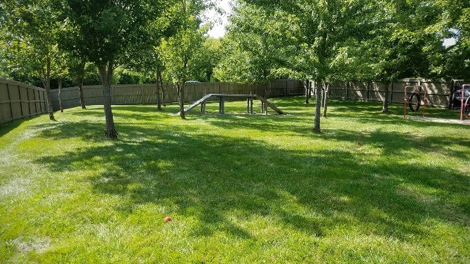 dog_park