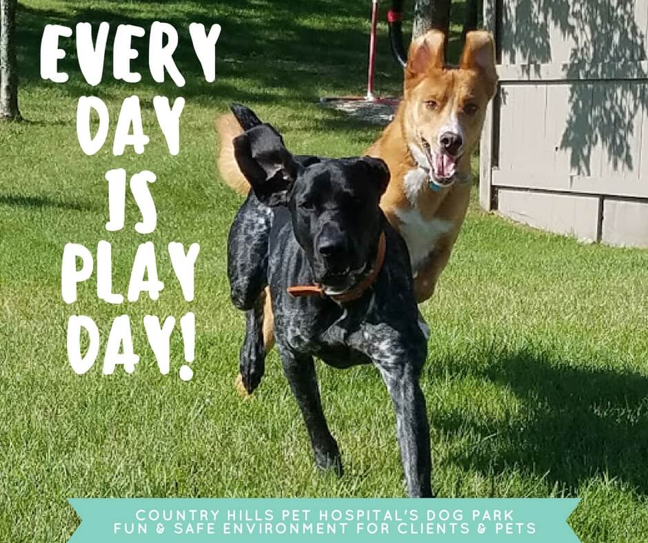 every_day_is_play_day