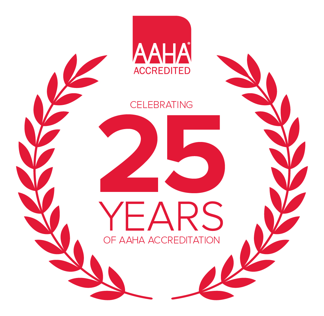 See More on AAHA