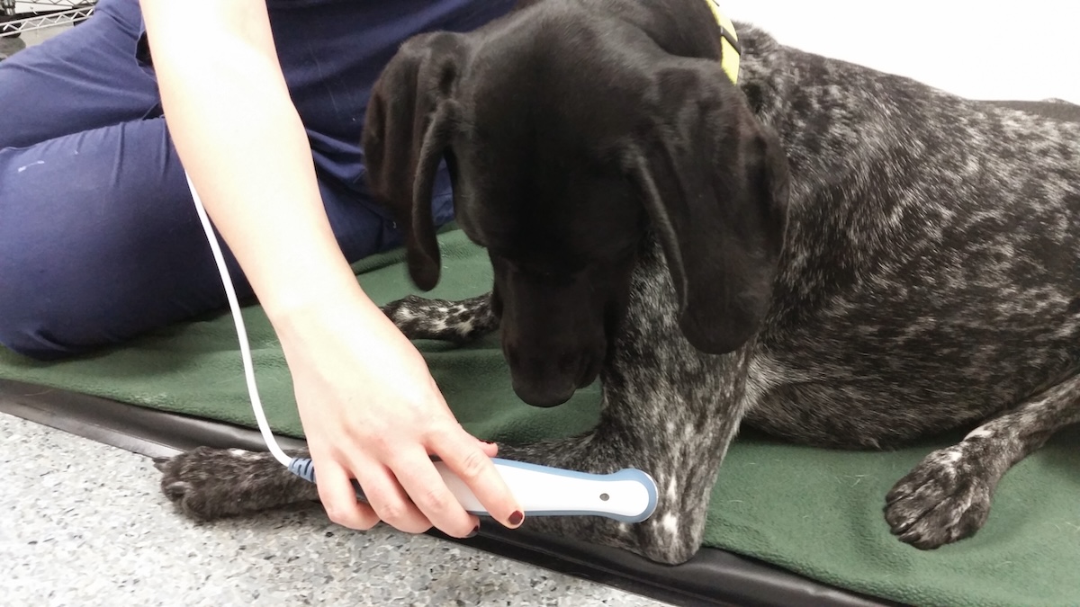 Therapeutic Ultrasound