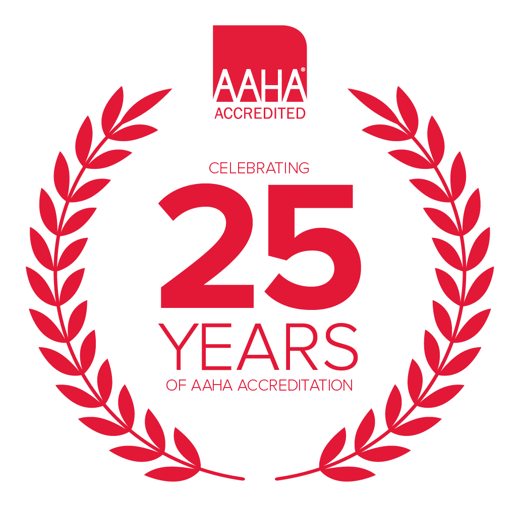 aaha25