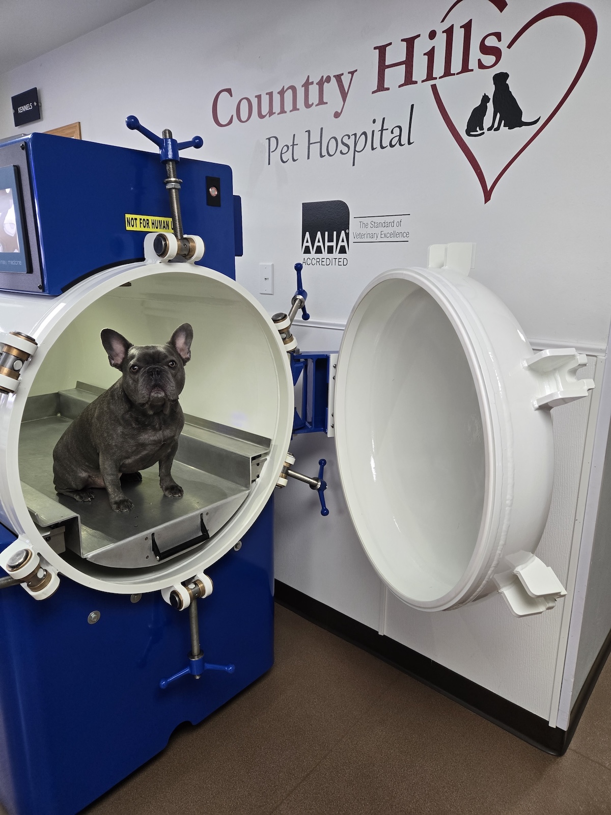 Hyperbaric Oxygen 1