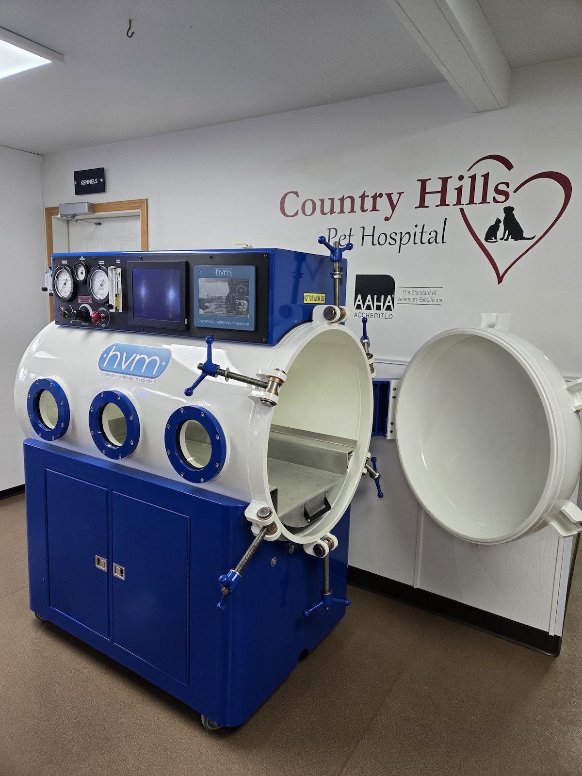 Hyperbaric Oxygen 2